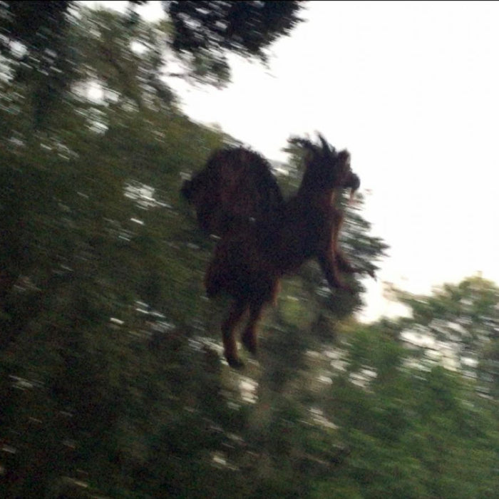 The Jersey Devil