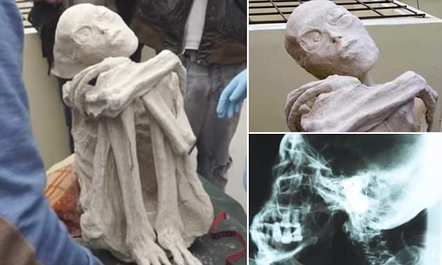 Alien Mummies of Nasca Mexico