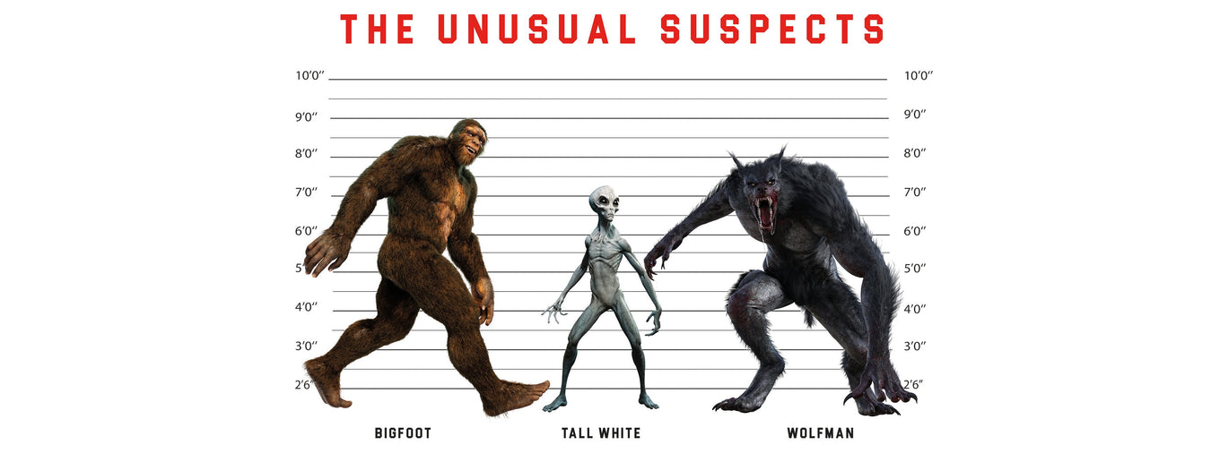 The Unusual Suspects