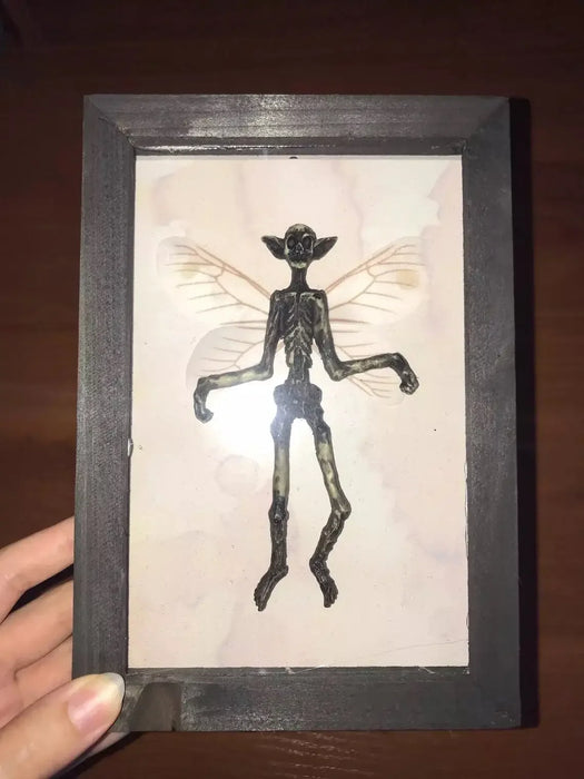 Gothic Home Decor Mummified Fairy Fairy Skeleton Witchy Decor Fairy Specimen Statue Picture Frames Display Painting