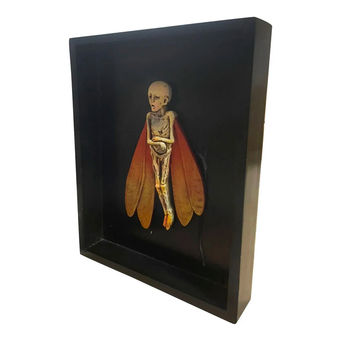 Gothic Home Decor Mummified Fairy Fairy Skeleton Witchy Decor Fairy Specimen Statue Picture Frames Display Painting