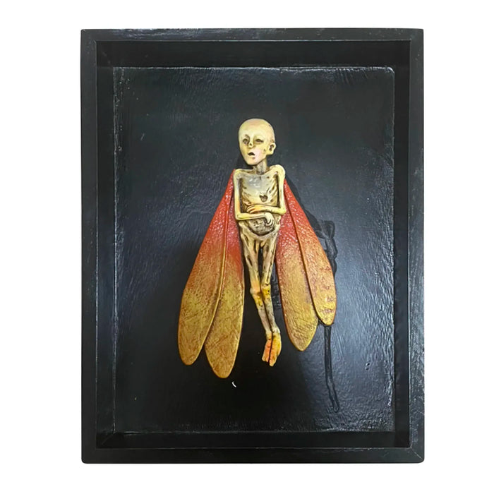 Gothic Home Decor Mummified Fairy Fairy Skeleton Witchy Decor Fairy Specimen Statue Picture Frames Display Painting