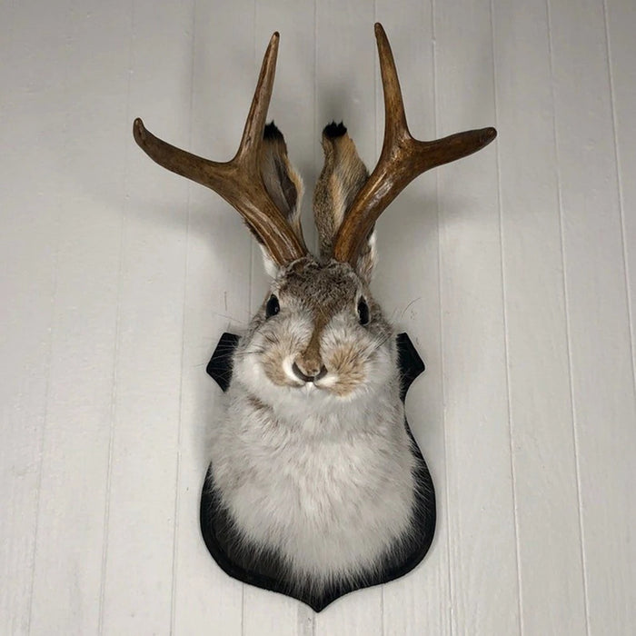 Easter Gift Bunny Head Antlers Wall Hanging Decoration Animals Deer Taxidermy Mount for Home Simulation Resin Art Ornaments