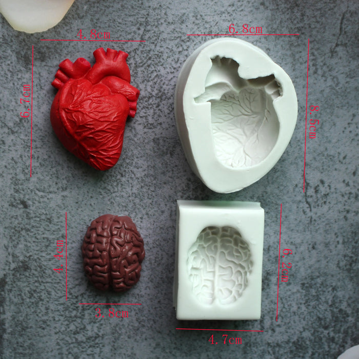 Heart And Brain Silicone Mold