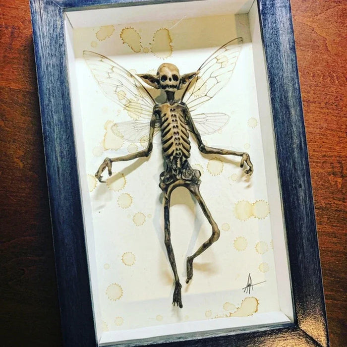 Gothic Home Decor Mummified Fairy Fairy Skeleton Witchy Decor Fairy Specimen Statue Picture Frames Display Painting