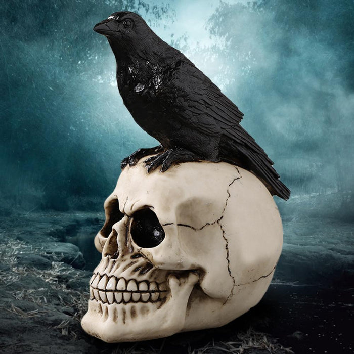 Raven On Skull Gothic Crow On Skull Statue